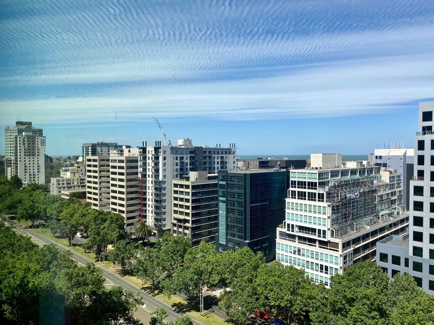 St. Boulevard image 1